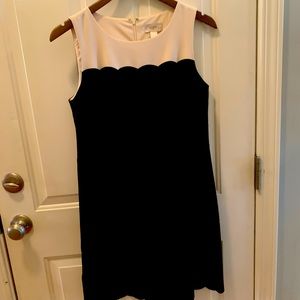 🎀 Adorable Black & Cream Cocktail Dress 🎀